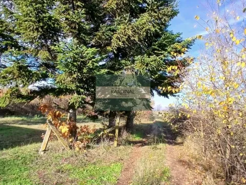 Prodaja, kuća, 31m², Lipar, Jagodina - image 3