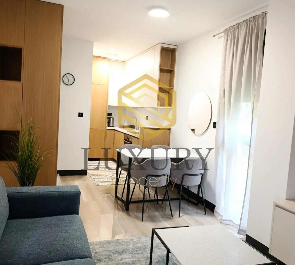 Rent, one bedroom apartment, 45m², Vezirov Most, Podgorica