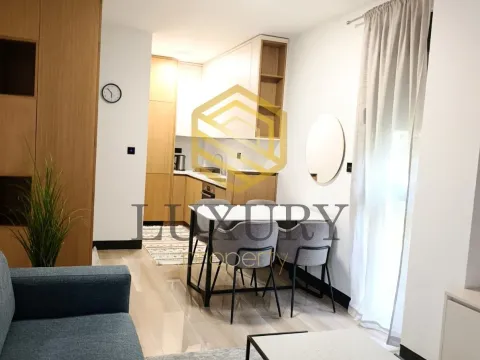 Rent, one bedroom apartment, 45m², Vezirov Most, Podgorica - image 8