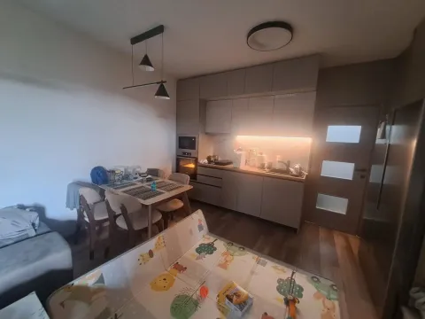 Prodaja, jednosoban stan, 45m², Stari Aerodrom, Podgorica - image 11
