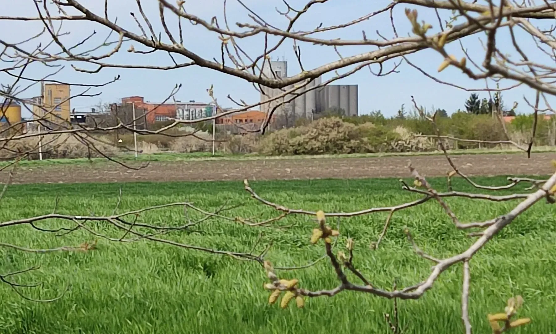 Prodaja, plac, 41100m², Gornji Grad Margita, Pančevo