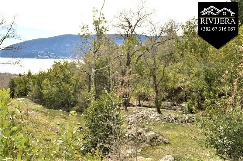 Prodaja, plac, 12300m², Topla, Herceg Novi