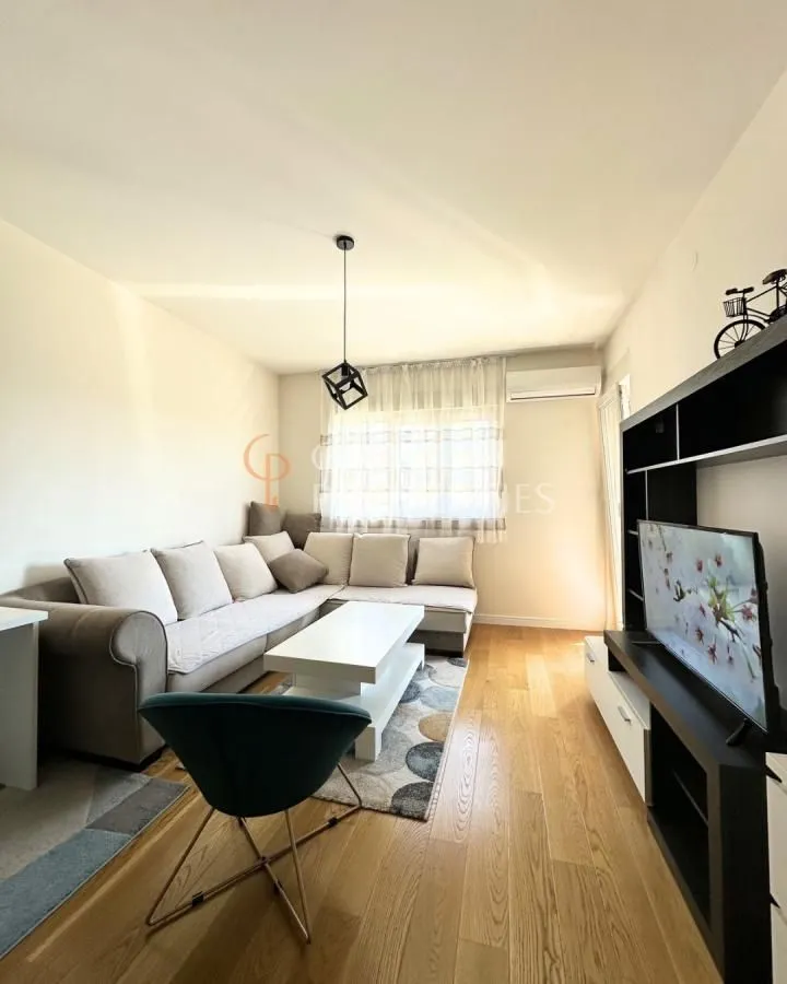 Izdavanje, stan, 49m², Central Point, Podgorica