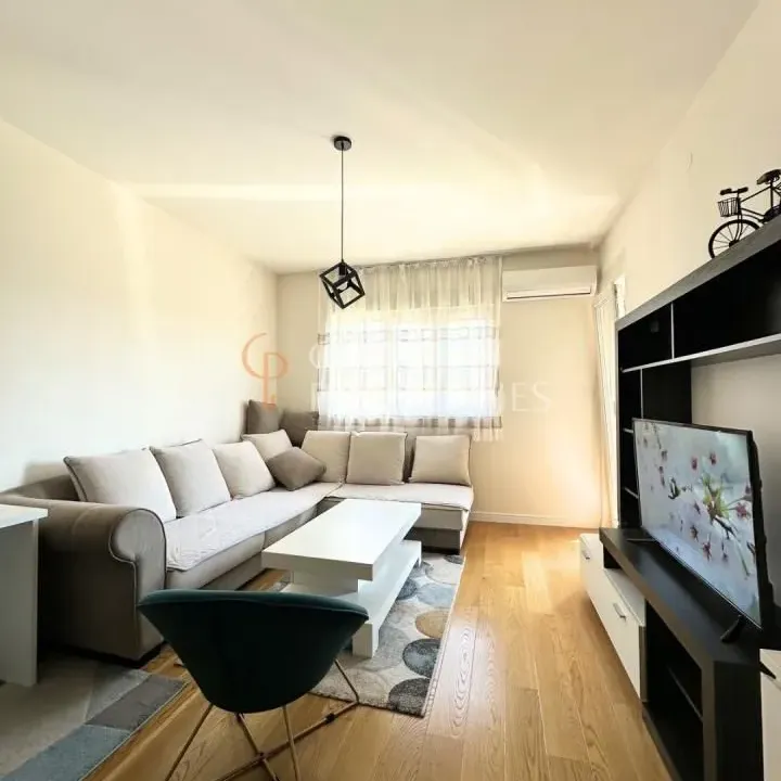 Rent, apartment, 49m², Central Point, Podgorica
