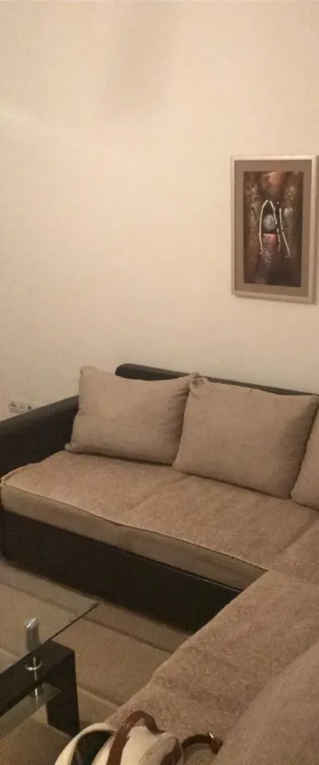 Udobna ugaona garnitura u dnevnoj sobi.