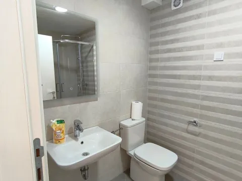 Prodaja, jednosoban stan, 32m², Zabjelo, Podgorica - image 2