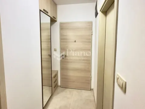 Izdavanje, jednosoban stan, 45m², Zagorič, Podgorica - image 7