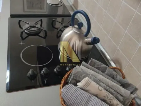 Izdavanje, trosoban stan, 55m², Centar, Novi Sad - image 7