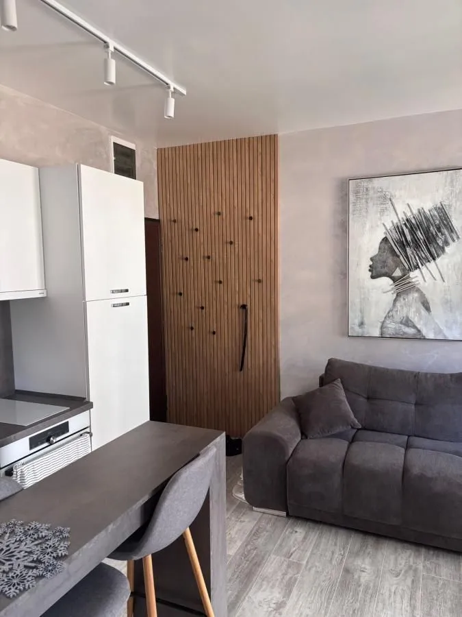 Sale, one bedroom apartment, 31m², Kraljevi Čardaci, Kopaonik