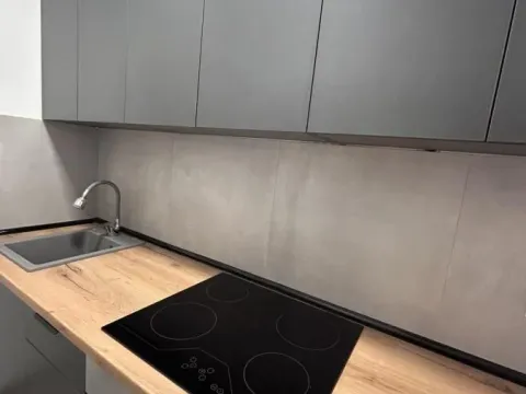 Izdavanje, garsonjera, 22m², Centar, Novi Sad - image 3