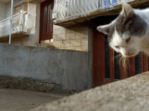 Prodaja, kuća, 212m², Zlatokop, Vranje - image 4