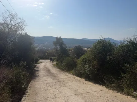 Prodaja, plac, 11204m², Dub, Kotor - image 5