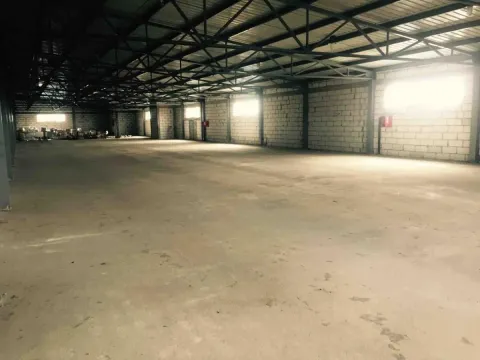 Izdavanje, poslovni prostor, 1000m², Altina, Beograd - image 2