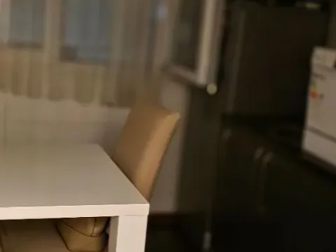 Izdavanje, jednosoban stan, 36m², Pejton, Podgorica - image 6