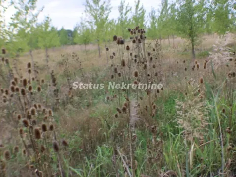 Prodaja, plac, 1378m², Zrenjanin, Srbija - image 42