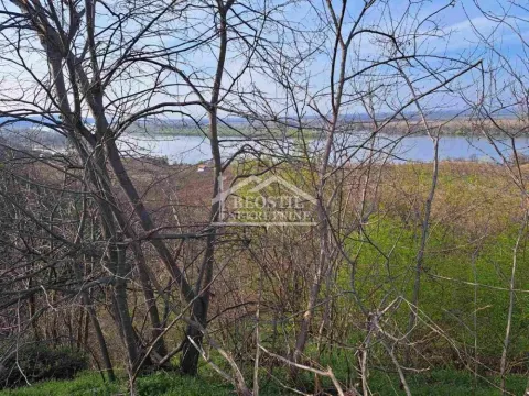 Prodaja, plac, 4966m², Brestovik, Grocka - image 14