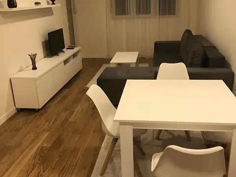 Rent, one bedroom apartment, 47m², Central Point, Podgorica - image 2