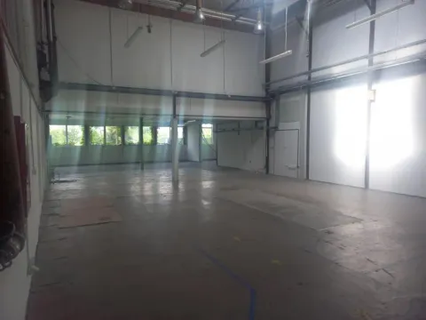 Izdavanje, poslovni prostor, 700m², Zemun Sve Podlokacije, Beograd - image 4