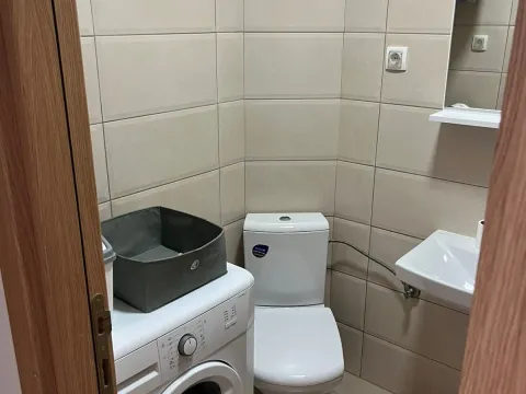 Rent, one bedroom apartment, 33m², Zabjelo, Podgorica - image 5