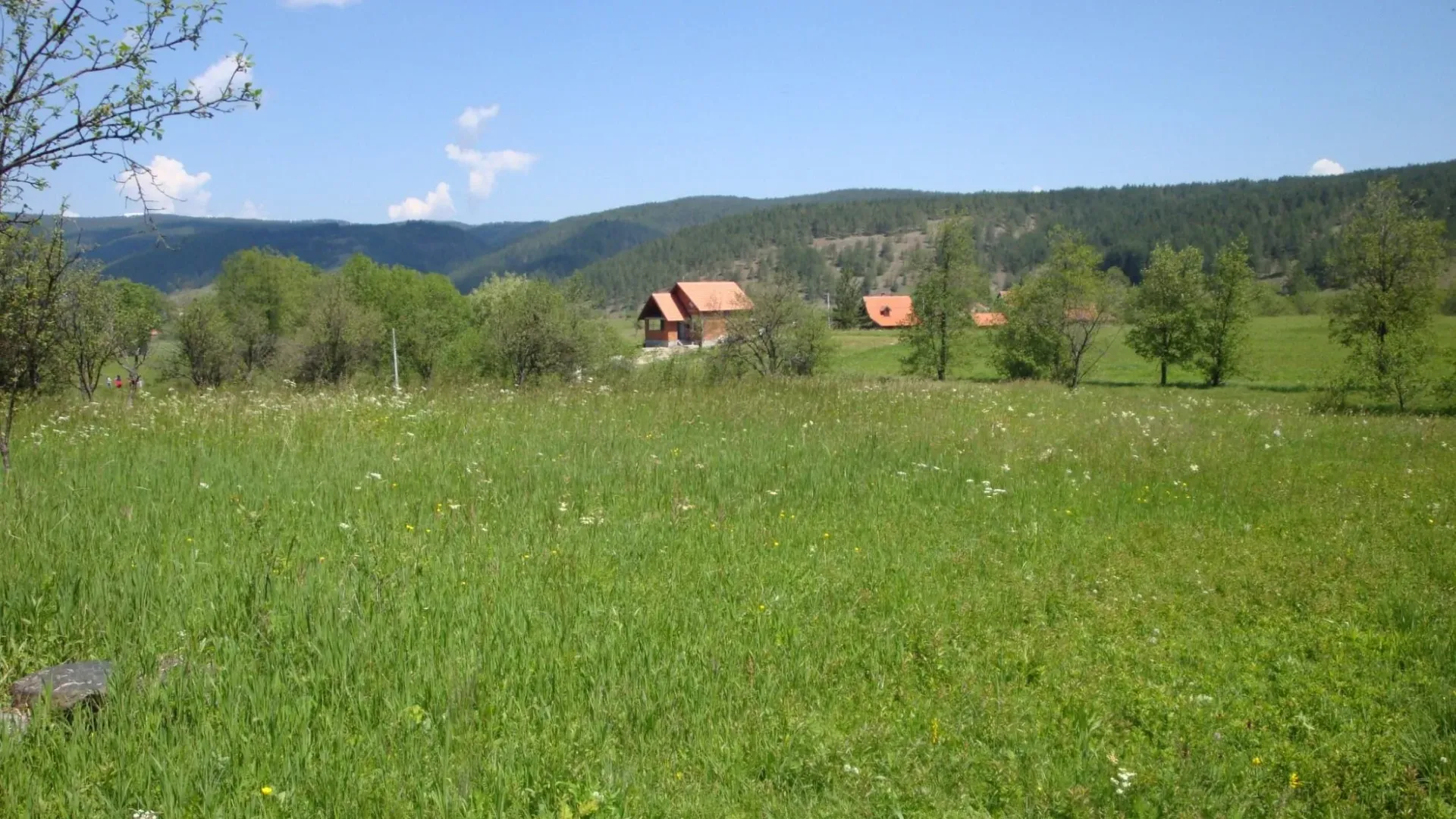 Prodaja, plac, 6400m², Kremna, Užice