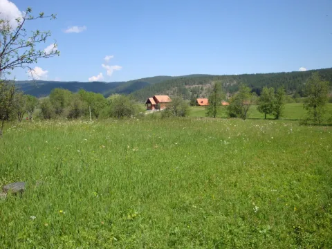 Prodaja, plac, 6400m², Kremna, Užice - image 2