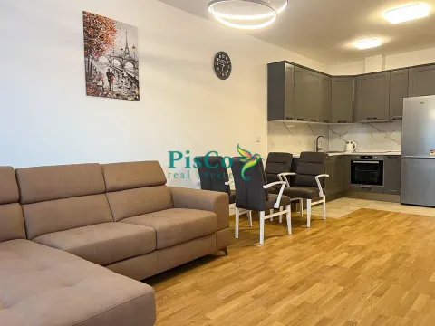Rent, one bedroom apartment, 47m², Stari Aerodrom, Podgorica - image 4