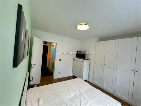 Izdavanje, dvosoban stan, 54m², Dušanovac, Voždovac Sve Podlokacije - image 9
