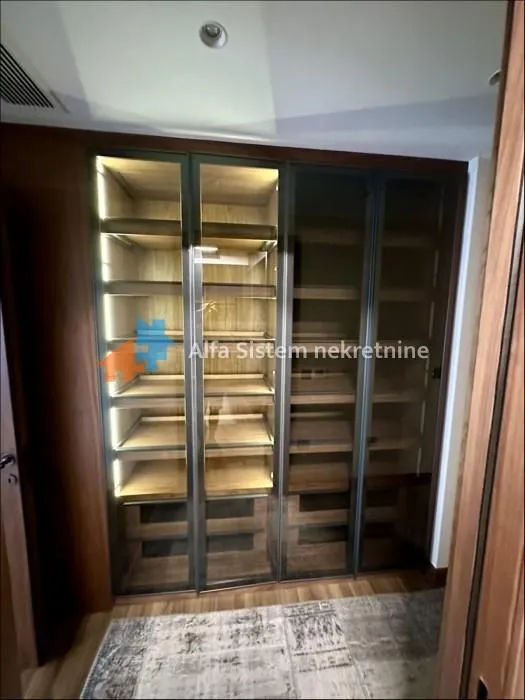 Rent, apartment, 350m², Južni Bulevar, Vračar Sve Podlokacije