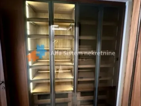 Izdavanje, stan, 350m², Južni Bulevar, Vračar Sve Podlokacije - image 26