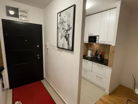 Izdavanje, jednosoban stan, 41m², Novo naselje, Novi Sad - image 7