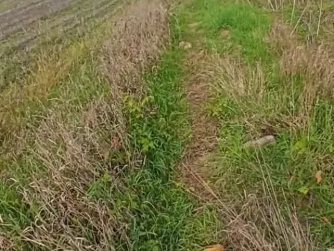 Prodaja, plac, 597m², Jagodina, Srbija - image 15