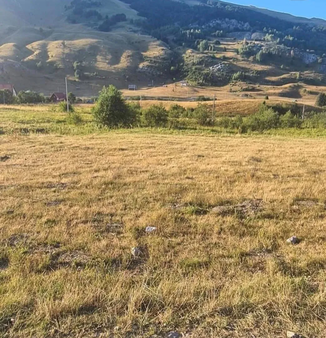 Prodaja, plac, 493m², Berane, Crna Gora