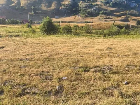 Prodaja, plac, 493m², Berane, Crna Gora - image 4