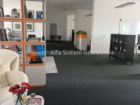 Izdavanje, poslovni prostor, 360m², Stari Grad, Beograd - image 10