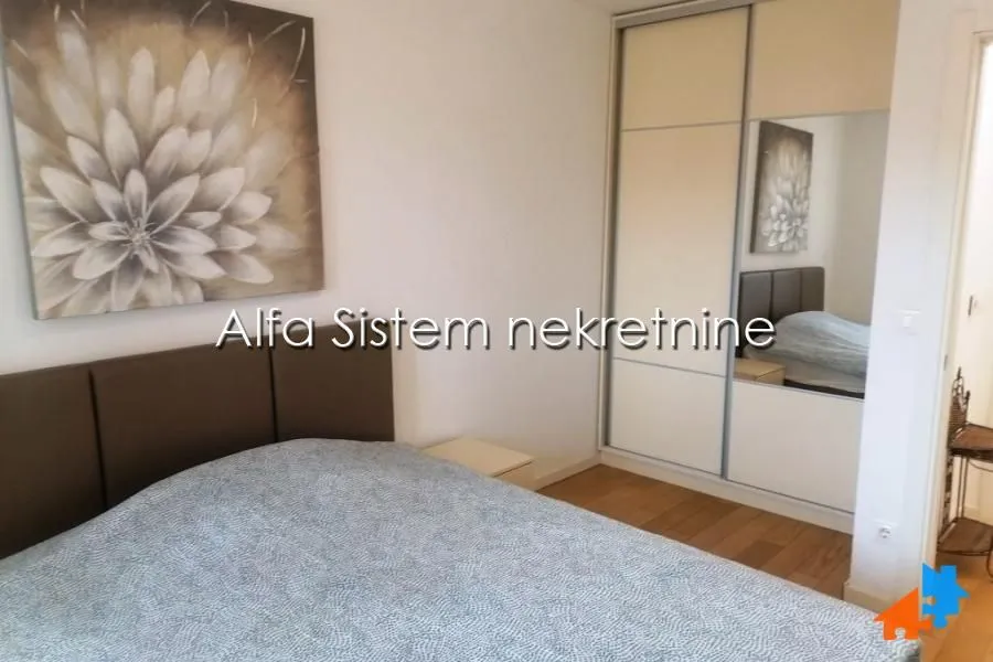 Rent, two bedroom apartment, 55m², Novi Beograd Blok 67, Novi Beograd Sve Podlokacije