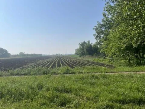 Sale, land lot, 4400m², Vojlovica, Pančevo - image 2