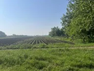 Sale, land lot, 44m², Vojlovica, Pančevo - image 2