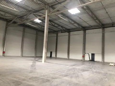 Izdavanje, poslovni prostor, 1300m², Zemun Sve Podlokacije, Beograd - image 6