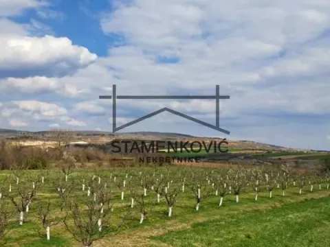 Prodaja, plac, 4636m², Sremska Mitrovica, Srbija - image 11