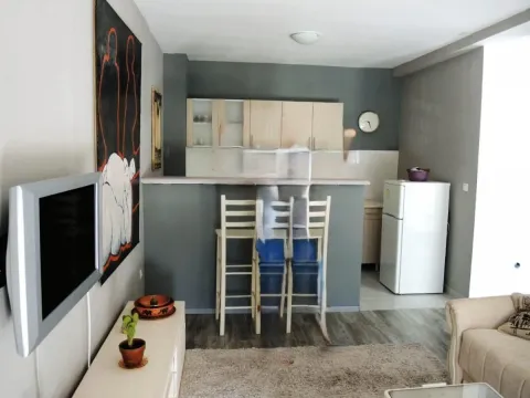 Izdavanje, jednosoban stan, 40m², Detelinara, Novi Sad Sve Podlokacije - image 4