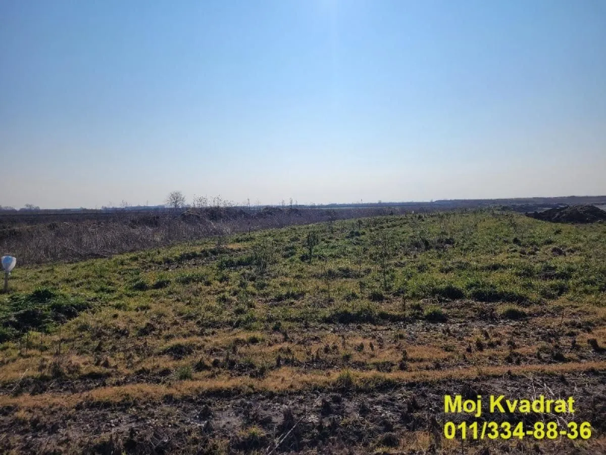 Prodaja, plac, 5600m², Šimanovci, Pećinci