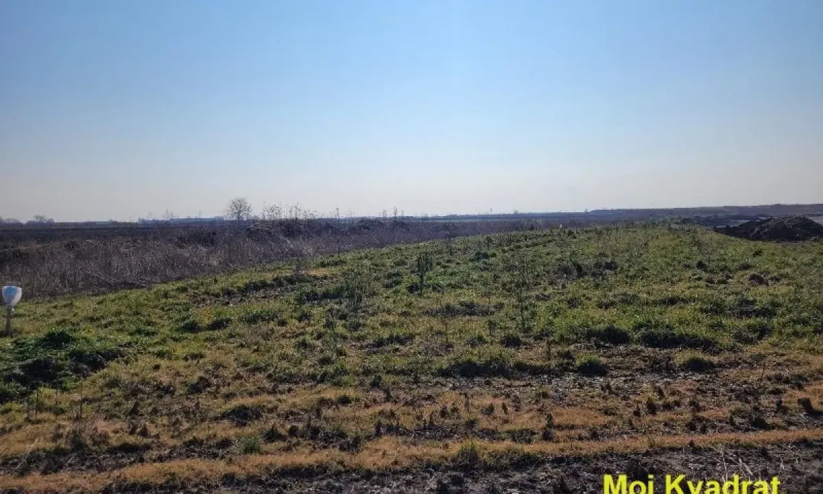 Prodaja, plac, 56m², Šimanovci, Pećinci