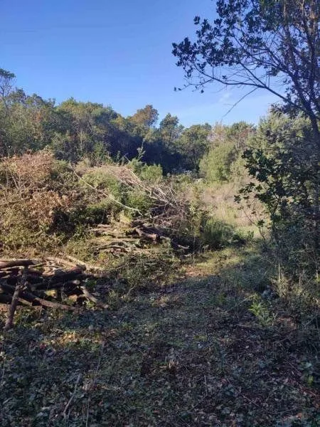 Prodaja, plac, 1290m², Kotor, Crna Gora