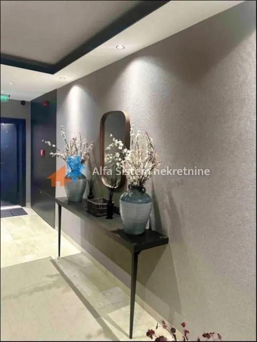 Rent, apartment, 350m², Južni Bulevar, Vračar Sve Podlokacije