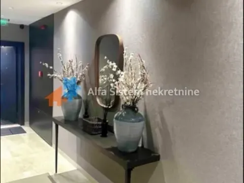 Izdavanje, stan, 350m², Južni Bulevar, Vračar Sve Podlokacije - image 4