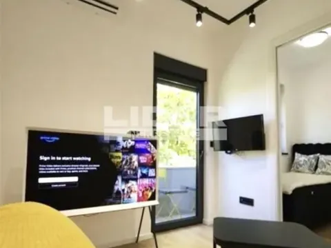 Izdavanje, jednosoban stan, 32m², Stari Grad, Beograd - image 5