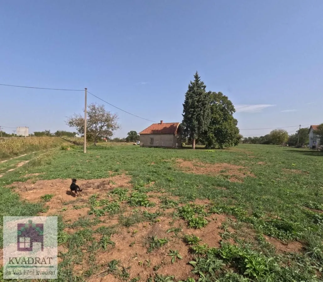 Izdavanje, plac, 6400m², Stubline, Obrenovac