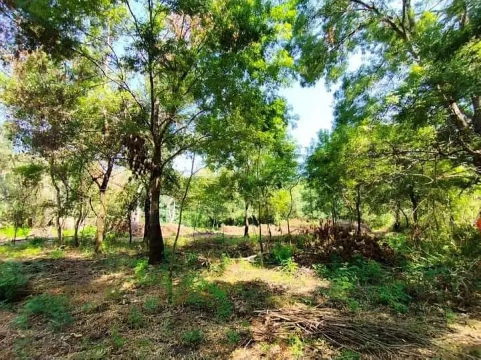 Sale, land lot, 1860m², Podgorica, Crna Gora
