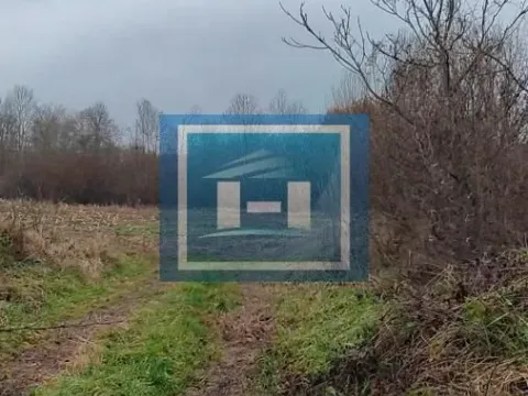 Sale, land lot, 132m², Dobrovodica, Batočina - image 7