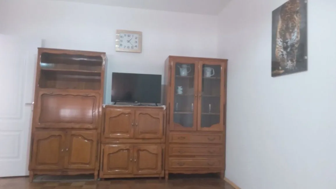 Stan-na-dan, jednosoban stan, 40m², Centar, Nikšić